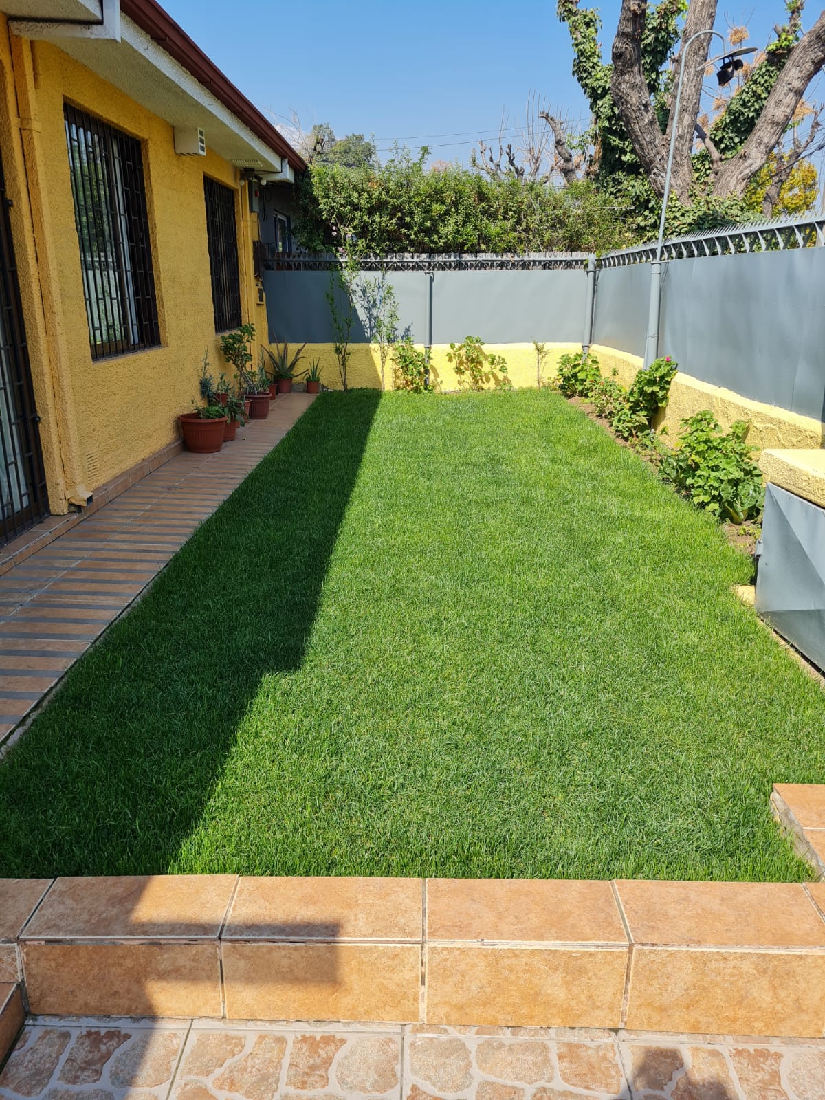 Lee más sobre el artículo Diseñar un jardín no es solo plantar flores: aquí está lo que necesitas saber