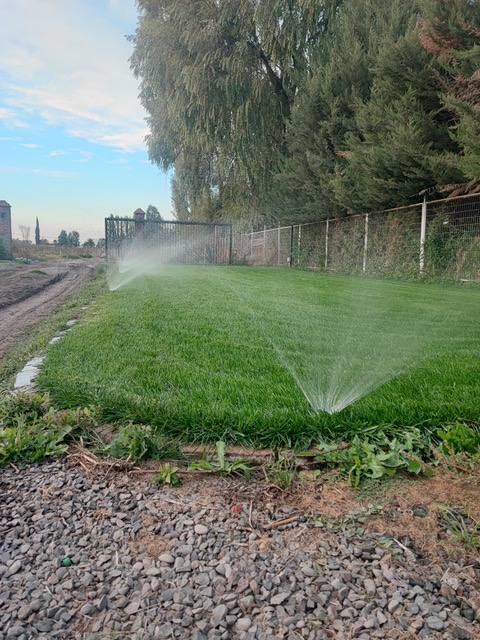 Lee más sobre el artículo La Verdad Sobre el Riego Automático: ¿Ahorra Agua o Solo Gasta Más?